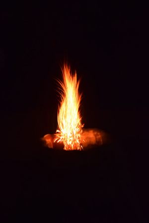 MNN 2018_094